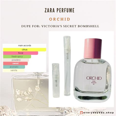 zara orchid dupe